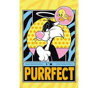 GB Eye GBYDCO143 Maxi Poster Looney Tunes Tweety & Slyvester 61 x 91.5cm