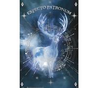 GB eye HARRY POTTER - Póster de metal Expecto Patronum (91,5 x 61 cm)