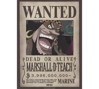 GB eye - Póster Wanted Blackbeard Wano One Piece (52 x 38 cm)