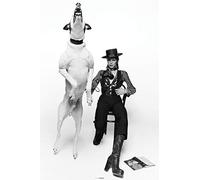Gb Posters David Bowie - Diamond Dogs Póster de 61 x 91,5 cm