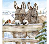GBCC - Cajas de lujo de tarjetas de Navidad 3 diseños - Burros - DELM0017
