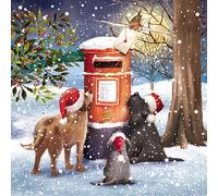 GBCC - Cajas de lujo de tarjetas de Navidad 3 diseños - Diseños de perritos - DELP0020