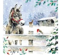 GBCC Paquete de tarjetas de Navidad solidarias de 10 unidades - Burritos festivos y Robin en la nieve - Paquete múltiple de tarjetas de felicitación premium con sobres - Apoyo a organizaciones