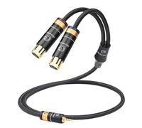GBIQDWTLK Cable de audio Hi-End 6N 2.5mm a 2XLR para amplificador mezclador 2.5 equilibrado 2.5 mm macho a 2XLR macho/hembra HiFi Cable (3m)