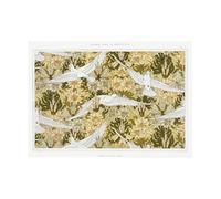 GBYangPJia artprint Colombes et lis, étoffe imprimée de L'animal dans la decoration (1897) ilustrado por Maurice Pillard Verneuil. decoración sala de estar 40 x 60 cm sin marco