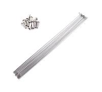 GBZIJIE Radios Bicicleta Inoxidable Paquete de 10 radios Bicicleta 14 g con boquillas Acero Inoxidable for montaña y Carretera Alta Resistencia(256MM)