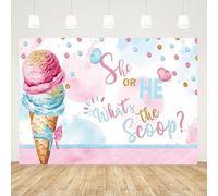 GCIREC 15x8ft Fondo de Cono de Helado Rosa Él o Ella Qué es el Scoop Género Revelar Nuevo Nacido Fondo de Fiesta de la Familia Banner de Estudio de Fotos Niños Apoyos de Fotografía
