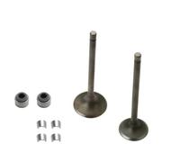 GCLANXI Accesorio de motocicleta, válvulas de escape de motor, Kit de vástago de entrada, sello de aceite for YAMAHA YFZ-R15 V1.0 V2.0 LC135, piezas de Moto Scooter