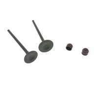 GCLANXI For KEEWAY RKV125 RKS125 K157FMI RKV150 RKS150 RKV RKS 148 Válvula EGR Válvula de admisión y Escape Sello de Aceite