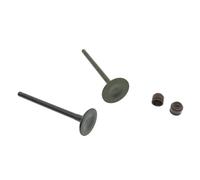 GCLANXI For Kymco Agility 125 Me Gusta 125 People S 125 Movie XL 125 Super 8 125 CK125 125cc Válvula Admisión Escape Vástago Válvula Sello de Aceite