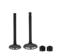 GCLANXI Kit de válvula de admisión y escape for motocicleta Yamaha SRV250, Renaissa, XV250, Virago, XV125, Route, V-Star, XVS250, Drag YFA-1, YFM80(1 Pair)