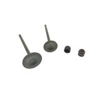 GCLANXI Sello de Aceite de válvula de admisión y Escape for Honda CBF125 CBF 125 CB125F XR125L GLR125 GLH125 GR125