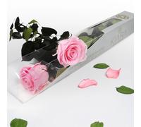 Gdecora Rosa Preservada Eterna Natural con Tallo 55cm Mujer,Mamá,Novia,Abuela- Flores Infinita para Cumpleaños,San Valentín,Día de la Madre,Navidad - Envío a Domicilio (Bridal Pink)