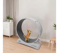 Gdetnysty Rueda para gatos con bloqueo con gran diámetro de la rueda, sin costuras, bordes lisos, 10 kg/22,05 kg, 80 x 35 x 85 cm, para gatos y perros pequeños en todos los estadios