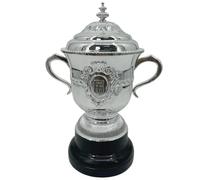 GDHKDDFL Copas de Honor para Equipos, Trofeos de campeones, Recuerdos for fanáticos, artículos Deportivos coleccionables, Adornos for exhibiciones temáticas Bares y Clubes