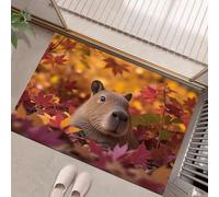 GDJSMIN Felpudo Entrada 60 X 90 Cm,Un Lindo Capibara Yace Entre Las Hojas Otoño Alfombra Absorbente Entrada Y Lavable,Estilo Animal Realista Alfombrilla Exterior Antideslizante De La Casa,Naranja