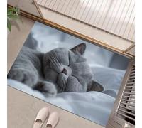 GDJSMIN Felpudo Entrada 80 X 120 Cm, Alfombra Entrada Casa Antideslizante Animal Realista, Felpudo Absorbentes Lavable Gato Británico De Pelo Corto Gris, Alfombrilla para Puerta Interior,Gris Claro