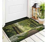 GDJSMIN Felpudo Entrada Casa, Alfombra Entrada Casa Absorbente,Antiguo Sendero Forestal Luz del Sol Alfombra Exterior,Campo Natural Alfombrilla Antideslizante De La Casa,50 X 80 Cm,Verde Claro