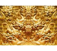 gdkldfg Papel Pintado Panorámico No Tejido Chino,Dragón,Arte Zen,Relieve para Salón, Dormitorio 350x250cm