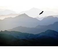 gdkldfg Papel Pintado Panorámico No Tejido Montañas Azules,Águila,Zen,Paisaje Natural para Salón, Dormitorio 300x240cm