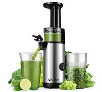 GDOR Licuadora Prensado En Frio Potente Juicer Juicer Machine Fácil de Limpiar Extractor de Jugo Compacto con Alto Rendimiento de Jugo, Vaso de Jugo de 600 ml, Cepillo Incluido, Sin BPA, Plateado