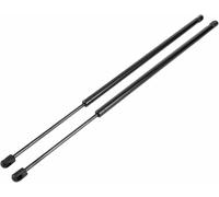 GDRBYUNC 2 amortiguadores de Gas para portón Trasero de Coche, Maletero, capó, para Ford Fiesta 2003, 2004, 2005, 2006, 2007 y 2008.
