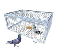 GDSHGS Trampa para Pájaros con Diseño Antiescape Jaula para Palomas y Aves de Jardín, Techo y Exterior Colección Automática, Inofensiva para los Pájaros(Blanco,40 * 30 * 26CM)