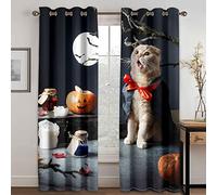 GDYRYD Cortinas Salon Dormitorio Moderno 2 Piezas 3D Lindo Gato Mágico Patrón Cortinas Ventana Opacas Termicas Aislantes Frio Y Calor, Cortinas Habitacion Juvenil con Ojales 110x210cm