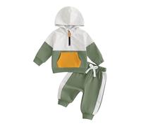Geagodelia Conjunto de ropa infantil de dinosaurios, conjunto de sudadera con capucha de manga larga + pantalones suaves con impresión Mini Boss, De color verde., 2-3 Años