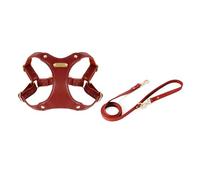 Geavonyg Arnés De Pecho para Perros con Correa Chaleco Mascotas Fácil Control Perros Que Caminan Ajustable Actividades Aire Libre Arnés Ajustable Mascotas