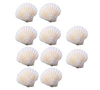 Geavonyg Conjunto De 10 Vieiras Naturales Craft Shells Suministros Portátiles Accesorio para Colgantes Y Servir Conchas Uso Diario Alimentos A Granel