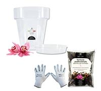 GebEarth - Kit para trasplantar orquídeas: maceta transparente para orquídeas, 4 orificios de drenaje y platillo + tierra específica para orquídeas de 1 l + guantes para jardinería. Maceta de 14 cm de