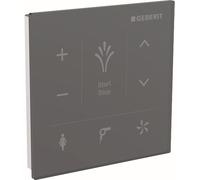 Geberit AquaClean panel de control de pared 147.038.SJ.1