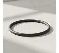 Geberit PE Anillo de junta tórica, DN 50, dø 50 mm, 361.789.00.1