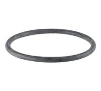 Geberit PE Junta tórica, DN 125, dø 125 mm, 368.789.00.1