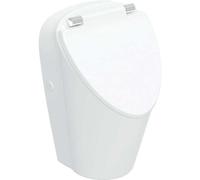 Geberit Renova S urinario, con tapa, entrada por detrás, salida por detrás y por abajo, 330x310x550mm, 503.110.00.1, Color: Blanco