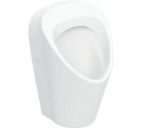 Geberit Renova S urinario, entrada por detrás, salida por detrás y por abajo, 330x300x550mm, 503.100.00.1, Color: Blanco