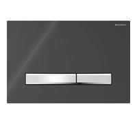Geberit Sigma botón de descarga para WC negro 115.788.DW.2