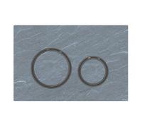 Geberit Sigma21 placas de accionamiento, para doble descarga, color metal negro cromo, 115651JM1, Color: cromo negro / pizarra mustang - CM