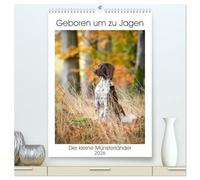 Geboren um zu Jagen. Der kleine Münsterländer (hochwertiger Premium Wandkalender 2026 DIN A2 hoch), Kunstdruck in Hochglanz: Als Jagdhund geboren...