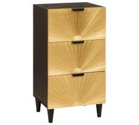 Gecheer Vitrina Negro y Dorado 40 x 33 x 75 cm Madera Maciza de Mango Modelo LYKLYD-4017851ES