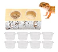 Gecko Food Dish,Alimentador Magnético con 10 Contenedores | Tazones de Terrario y Comederos para Reptiles | Para Lagartos, Dragones Barbudos, Ranas Y Pequeños Animales
