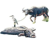 Gecko Models - 60's-70's Southern Vietnam Buffalo Setmaquette Figura 60's-70's Southern Vietnam Buffalo Set |gecko Models|35gm0108| 1:35 Figura miniatura