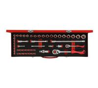 Juego de llaves de vaso 1/4+1/2, 49 piezas