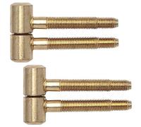 Gedotec Bisagras para puertas de interior Bisagras de renovación 2 piezas Bisagras taladradas para puertas de madera galceadas | tamaño ø 16 mm | metal latonado | capacidad de carga hasta 40 kg