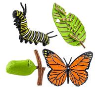 GEEHUA Pack de 4 Figuras de Juguete del Ciclo de Vida de la Mariposa, Figuras Realistas de Animales, Insectos, Modelo del Ciclo de la Mariposa, Material Didáctico, Proyecto Escolar para Niños