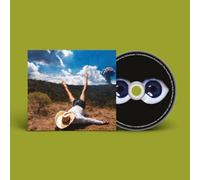 Geese - 3d Country