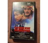 Gefährliche Brandung - Point Break [Alemania] [VHS]