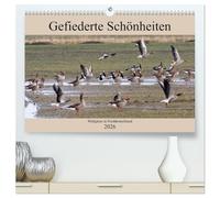 Gefiederte Schönheiten - Wildgänse in Norddeutschland (hochwertiger Premium Wandkalender 2026 DIN A2 quer), Kunstdruck in Hochglanz: In ... Arten von Wildgänsen in Norddeutschland.