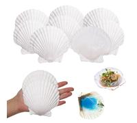GEFIRE 10pzs Conchas de Mar Decoracion 9-11cm Conchas de Mar Accesorios DecorativosConcha Natural Vieiras de Bolsillo Decoraciones de Cocina Plato Aperitivo Decoraciones Merienda Decoraciones Acuario